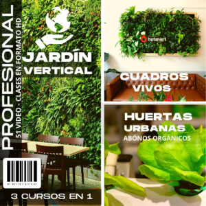 Lee más sobre el artículo Jardín Vertical Profesional, Cuadros Vivos y Huertas Verticales – 2024